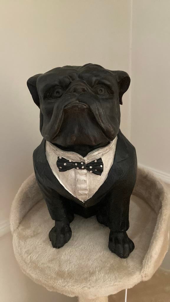Beeld hond franse bulldog, Ophalen, Nieuw