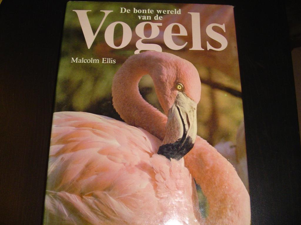 De bonte wereld van de vogels - Malcolm Ellis, Livres, Animaux & Animaux domestiques, Enlèvement ou Envoi, Utilisé, Oiseaux