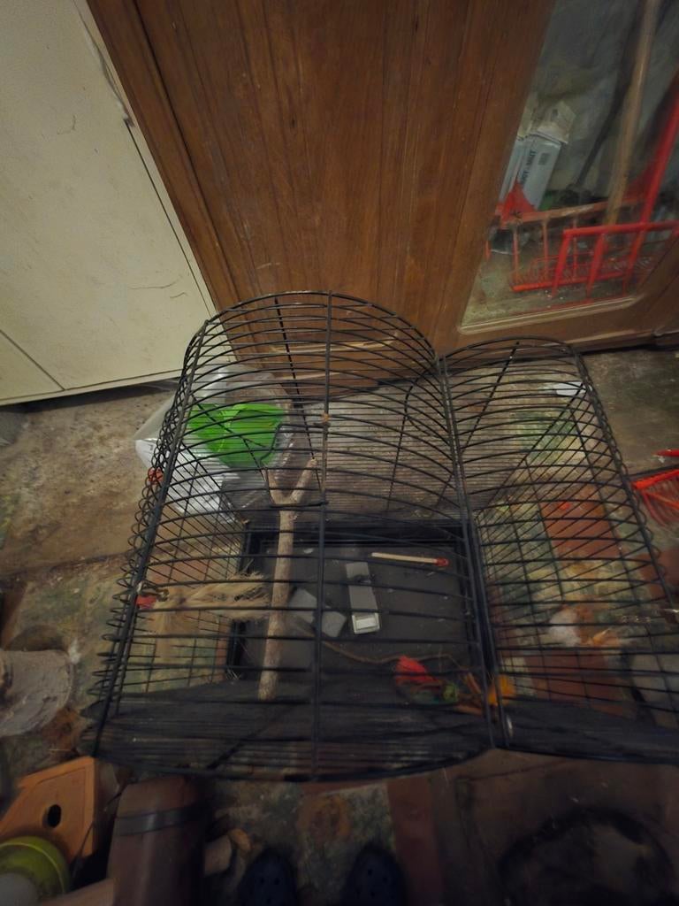 Vogelkooi/kanarie kooi, Dieren en Toebehoren, Ophalen of Verzenden, Vogelkooi