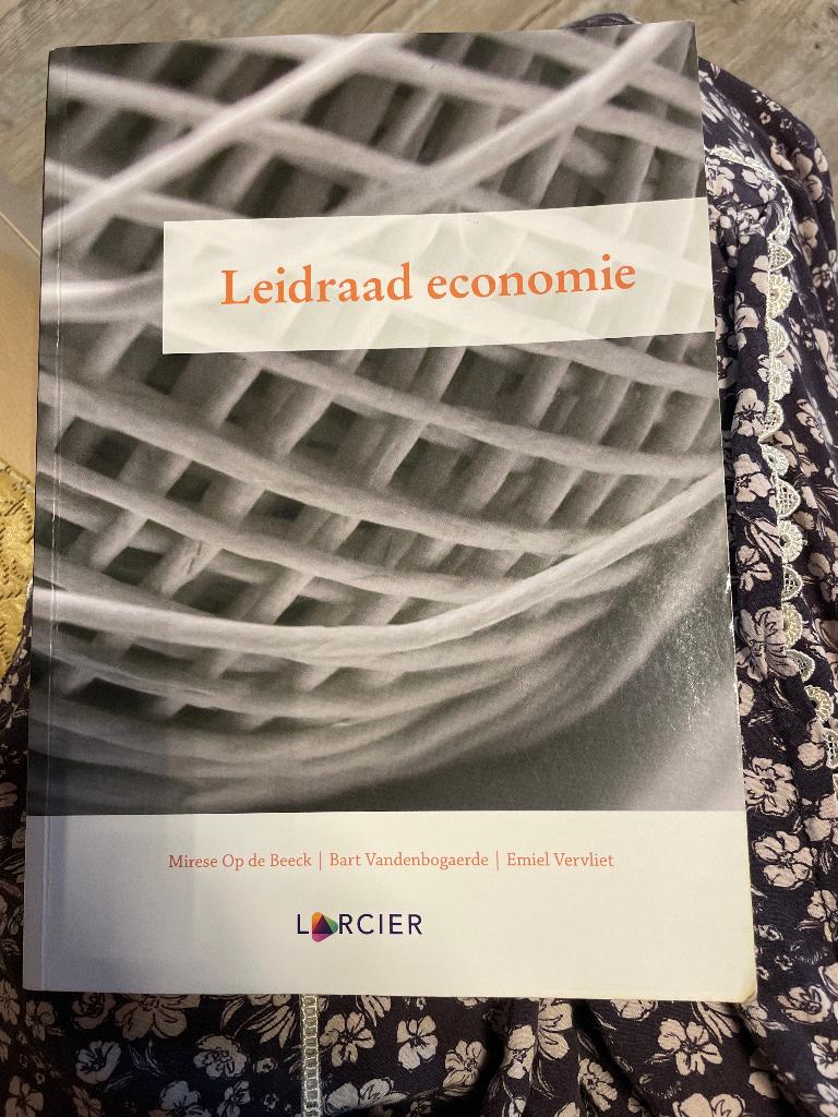Leidraad economie, Boeken, Ophalen of Verzenden, Gelezen, Hoger Onderwijs, Larcier intersentia