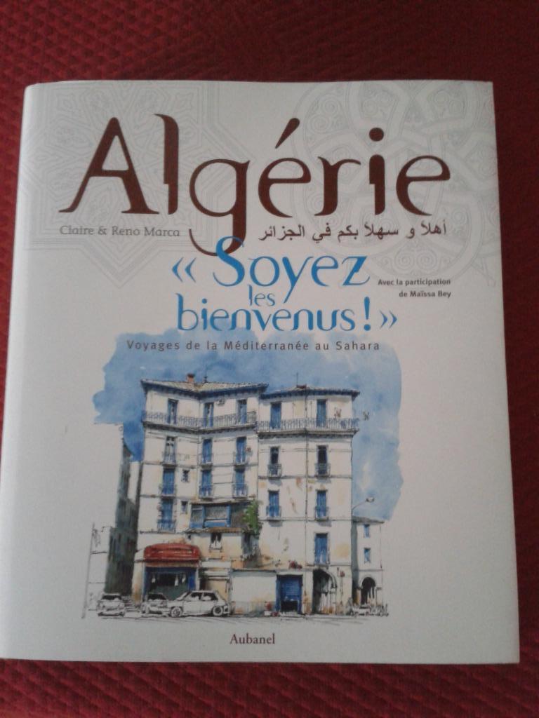 Algérie - guide de voyage/récit - français, Enlèvement ou Envoi, Comme neuf