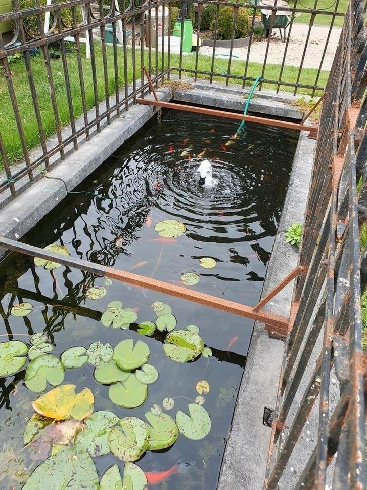 Smeedijzeren balustrades, Enlèvement, Comme neuf, Fer