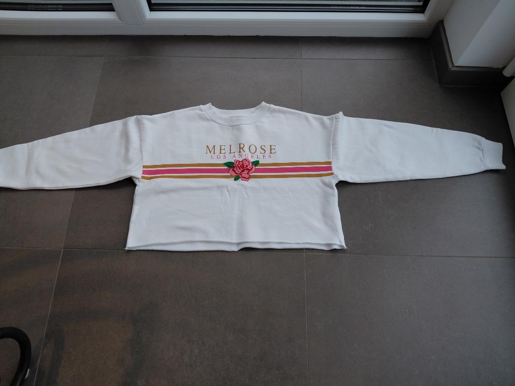 Pull Primark taille 36 (taille petit), Enlèvement ou Envoi, Pull ou Veste, Utilisé, Primark