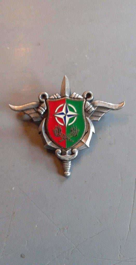 pucelle francaise service essences 2eme division pipeline, Enlèvement ou Envoi, Armée de terre, Emblème ou Badge