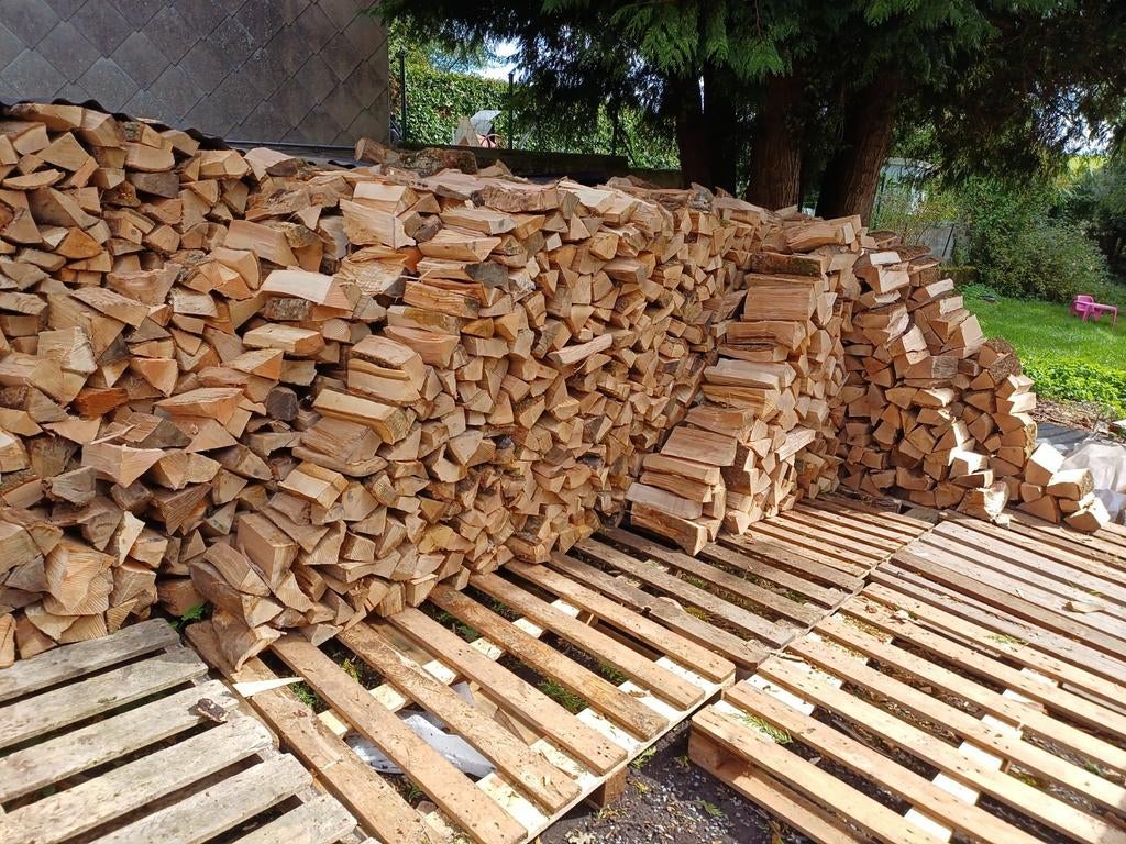 Bois de chauffage Extra sec de 2023, Enlèvement ou Envoi, Hêtre