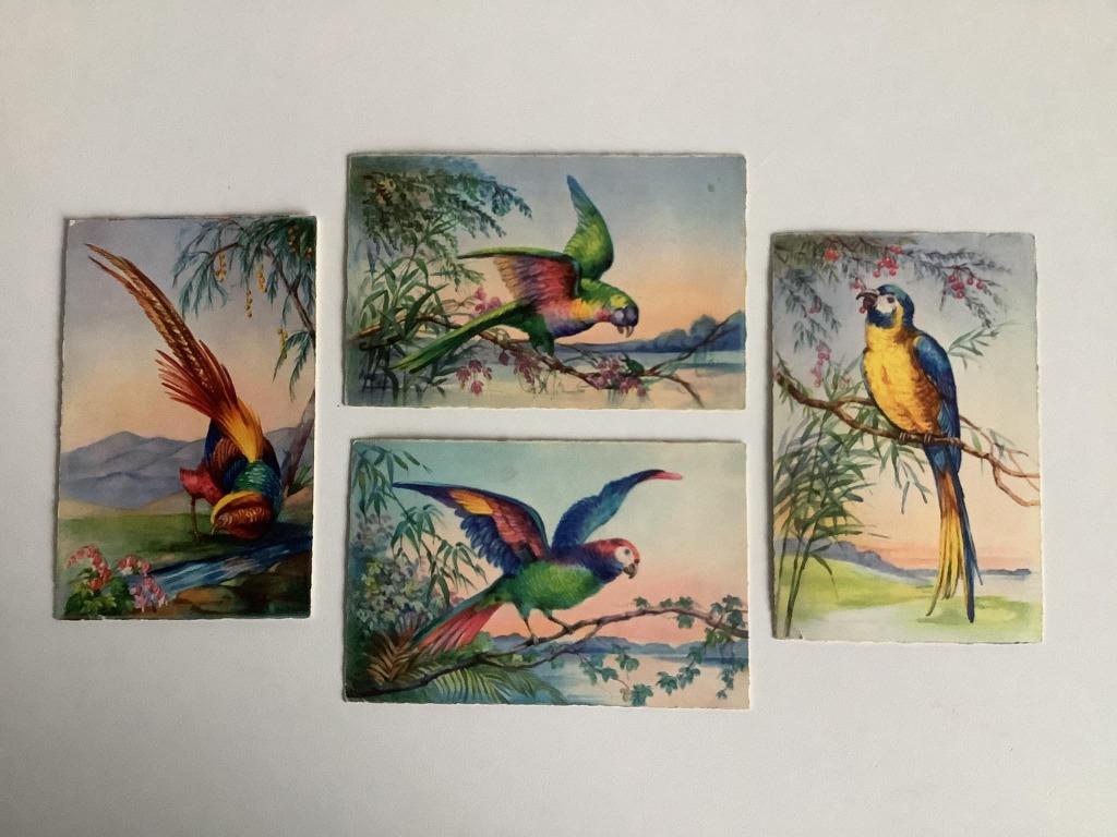 4 oude kaarten met vogels, Verzamelen, Ophalen of Verzenden, 1920 tot 1940, Gelopen, Vogel