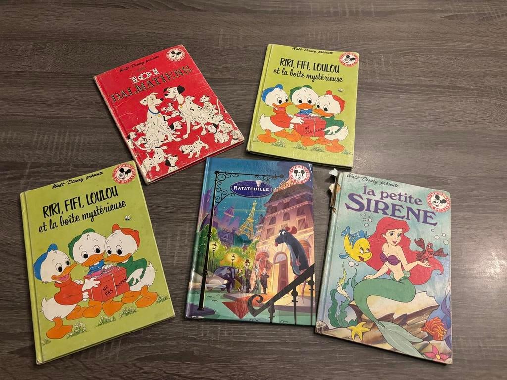 Lot de livres ancien disney, Livres, Enlèvement, Utilisé