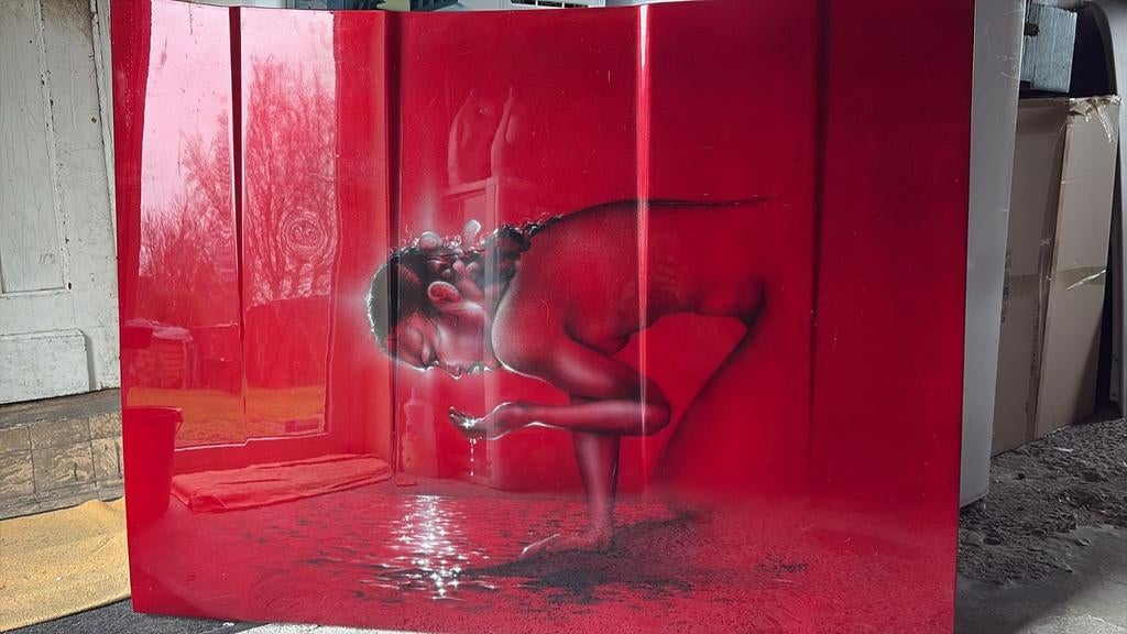 David Degraeve airbrush decoratieve kap, Ophalen
