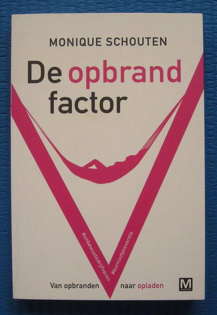 De opbrand factor - Monique Schouten, Ophalen of Verzenden, Zo goed als nieuw, Monique Schouten