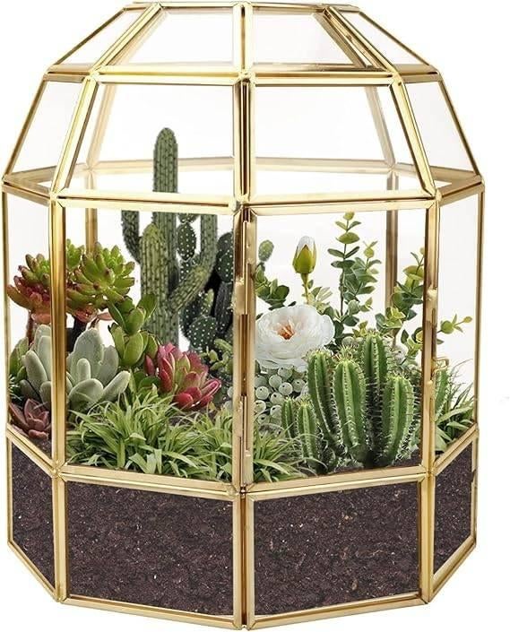 terrarium géométrique | Verre | LIVRAISON GRATUITE