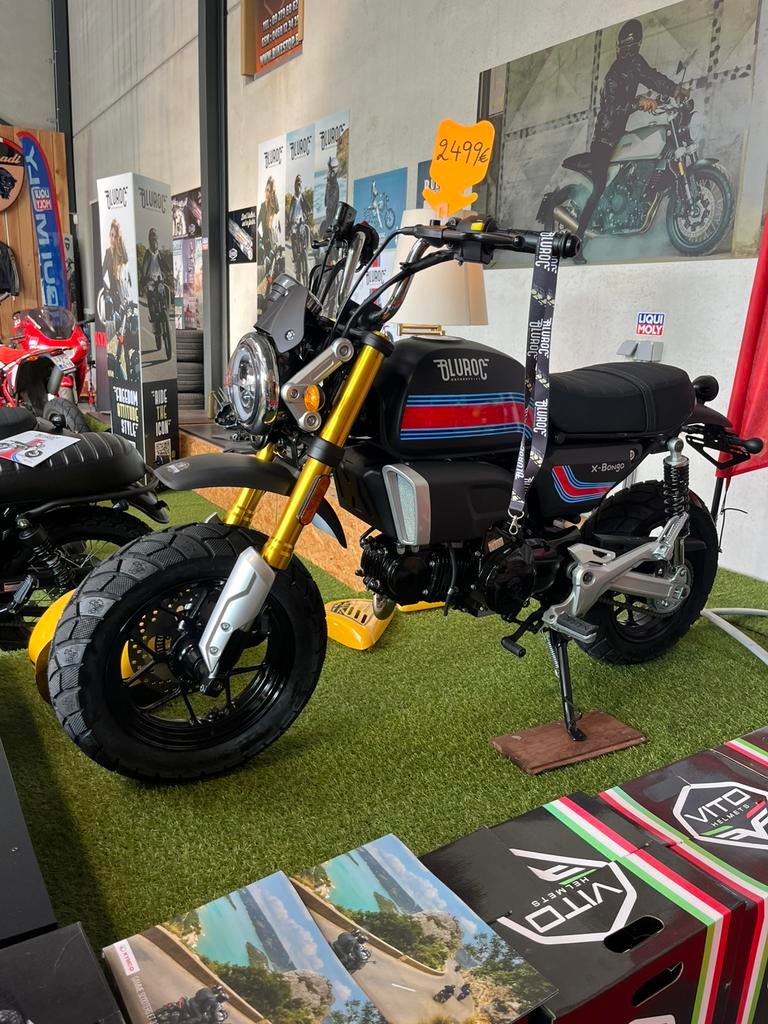Bluroc X Bongo 50 en 125 cc, Neuf, 4 vitesses, 49 cm³, Classe B (45 km/h)