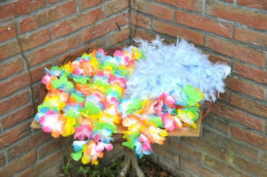 §accessoire de carnaval, Ophalen of Verzenden, Gedragen, Accessoires
