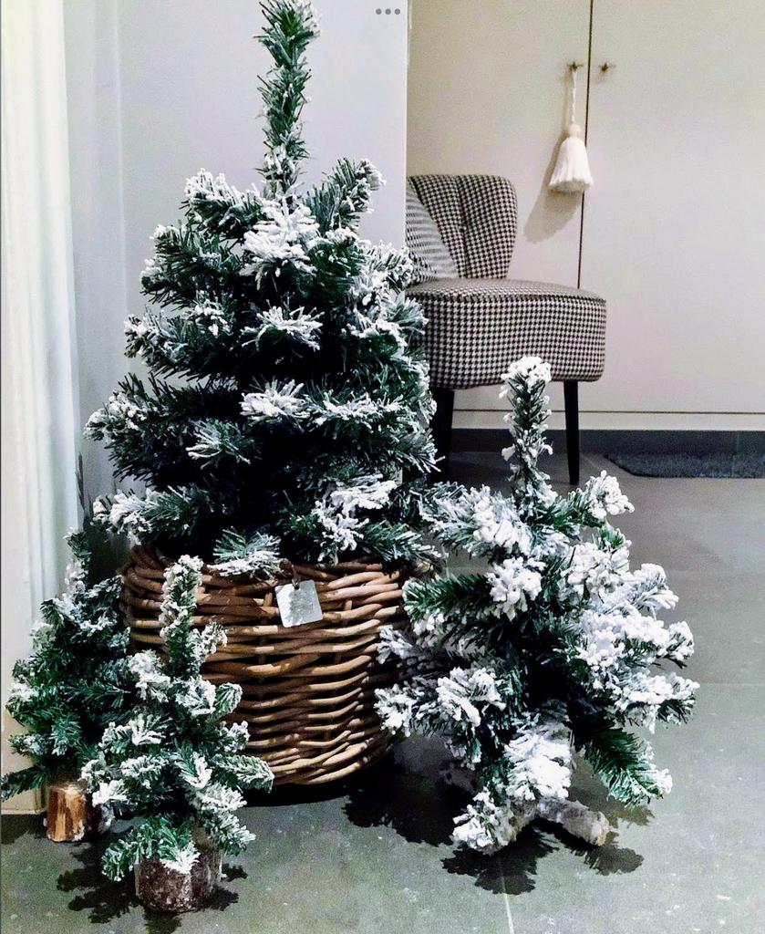 Set van 4 mini besneeuwde Kerstboompjes, Ophalen of Verzenden, Nieuw