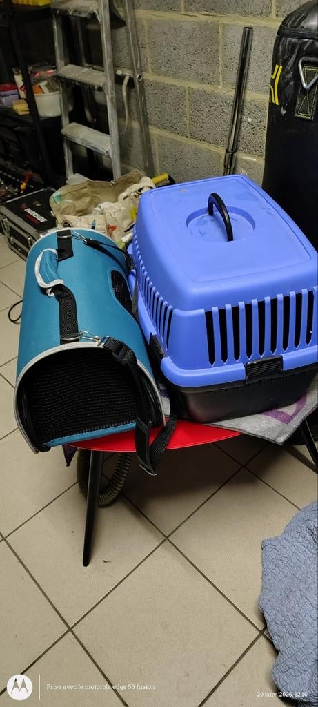 A vendre pour petit chien ou chat, Enlèvement
