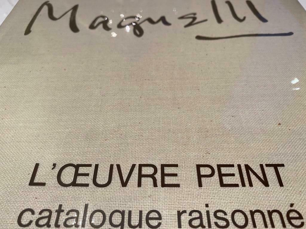 Alberto Magnelli Catalogue raisonné 300pag, Ophalen of Verzenden, Zo goed als nieuw, Schilder- en Tekenkunst