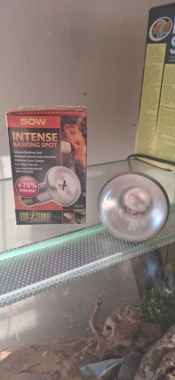 Lampe solaire Exoterra 50W - Inutilisée, Animaux & Accessoires, Reptiles & Amphibiens | Accessoires, Enlèvement, Neuf, Éclairage