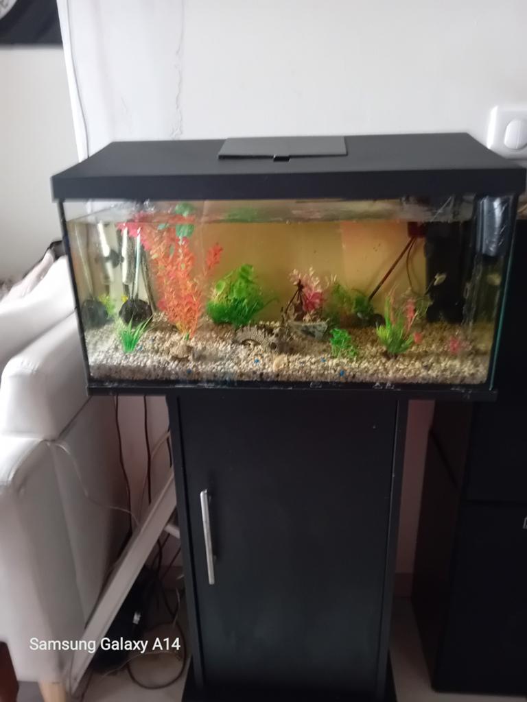 Aquarium met toebehoren, Ophalen