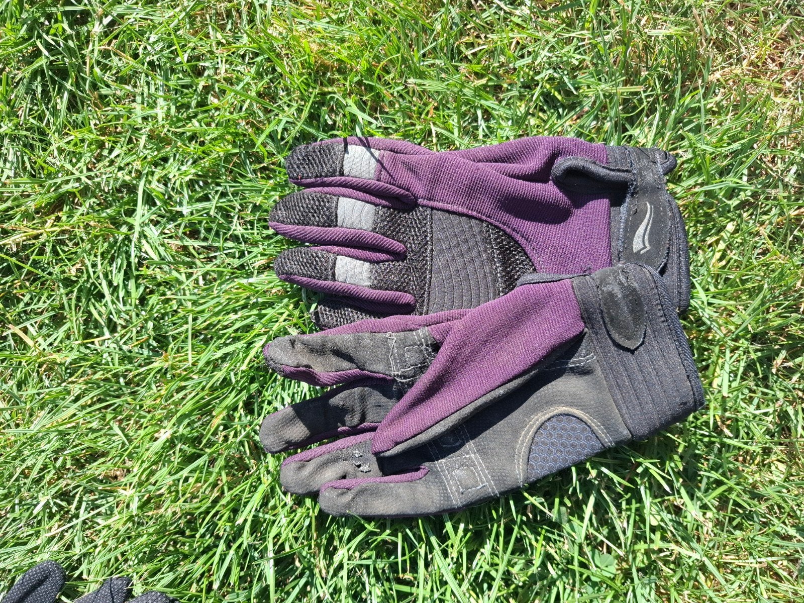 Paardrij handschoenen, Dieren en Toebehoren, Paardrijkleding, Ophalen
