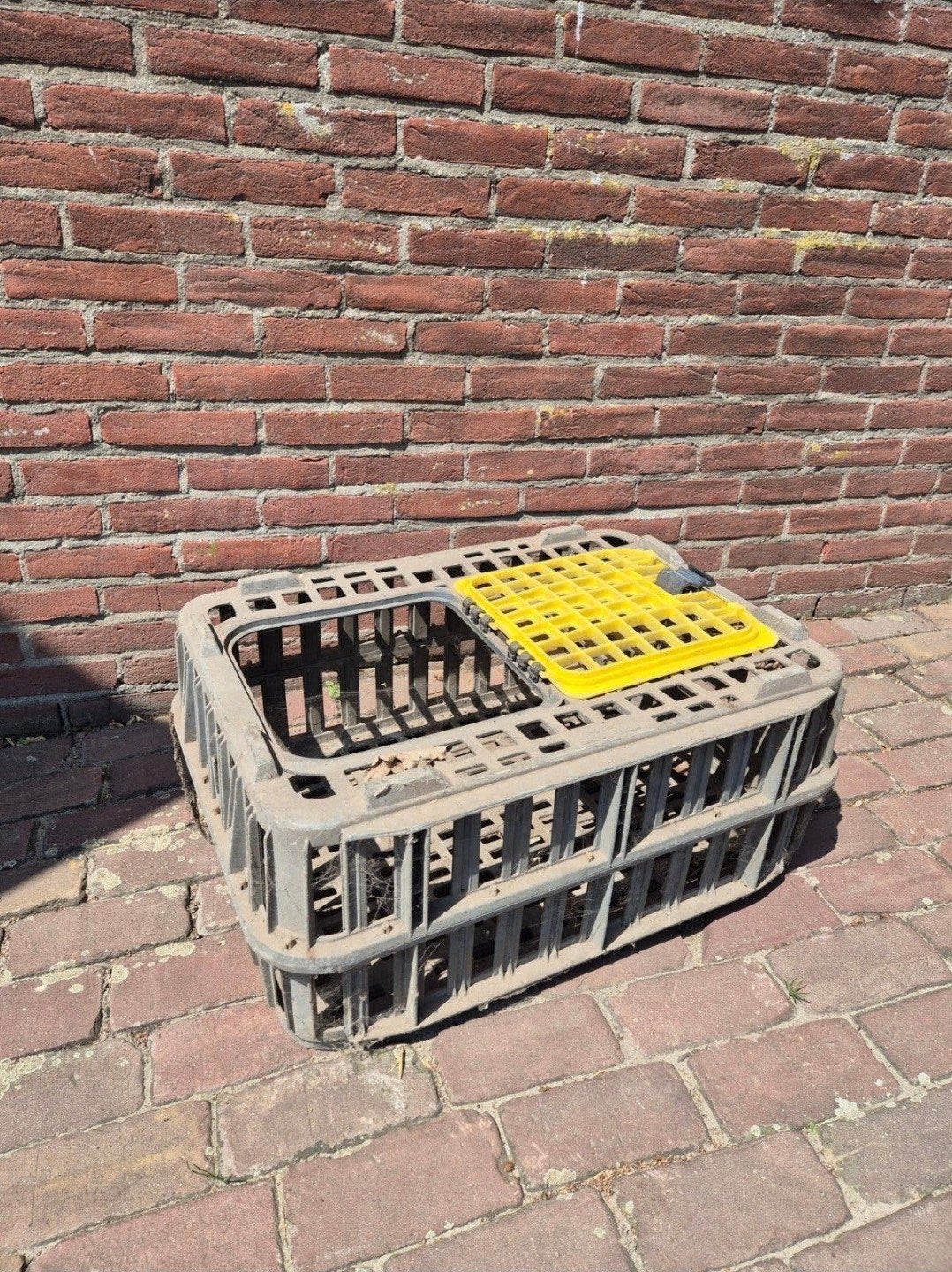 transportbakken pluimvee, Dieren en Toebehoren