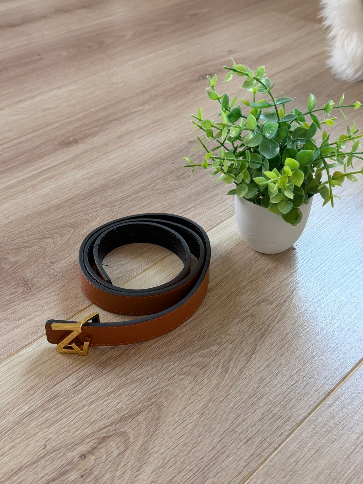 Zadig & Voltaire Riem, Kleding | Dames, Minder dan 3 cm, Verzenden, Echt leder, Nieuw