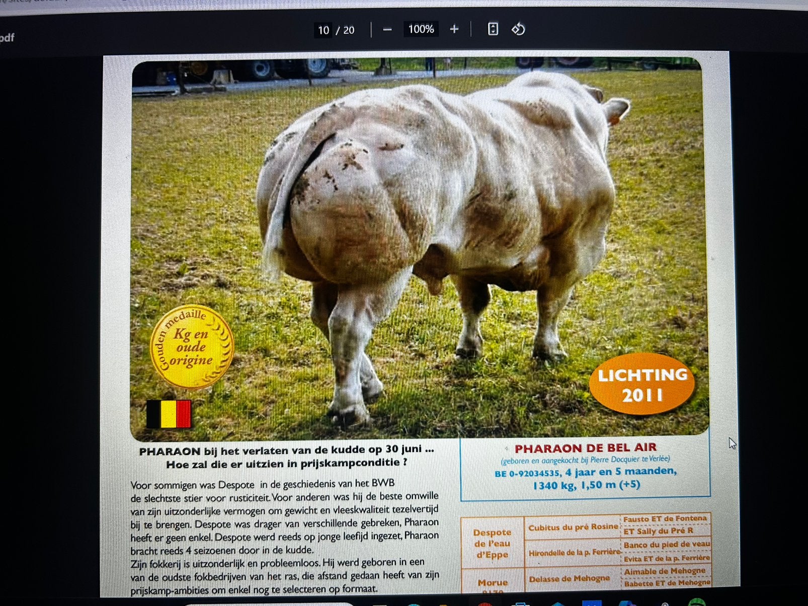 Sperma bwb, Dieren en Toebehoren, Geslacht onbekend