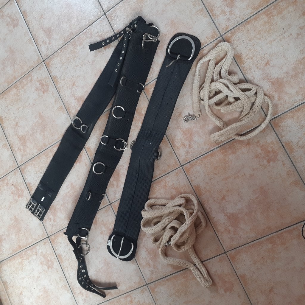 Ensemble longue rêne bon états, Animaux & Accessoires, Chevaux & Poneys | Autres trucs de cheval, Enlèvement ou Envoi, Comme neuf