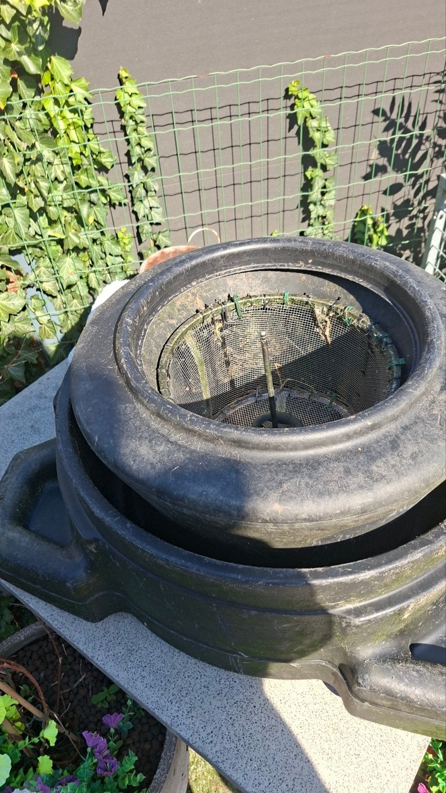 grote vijverskimmer, Enlèvement