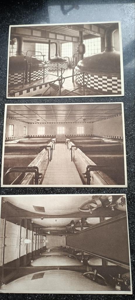 3 oude fotokaarten1950 oude br. SCALDIS HINGENE, Ophalen of Verzenden