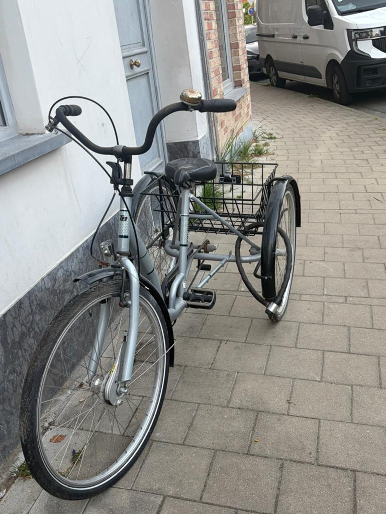 Tribike Driewieler in topstaat, Ophalen, Zo goed als nieuw, Tri-bike papillon