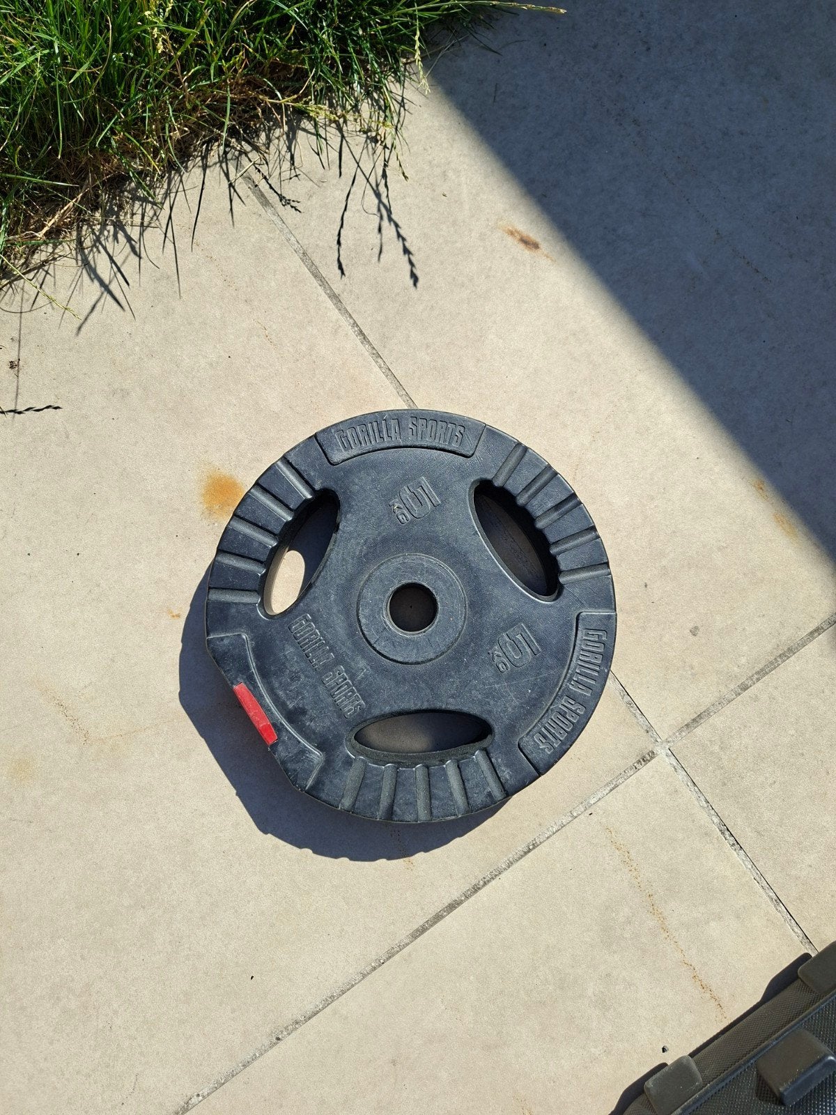 Verschillende gewichtschijven uit te kiezen, Sport en Fitness, Ophalen, Gebruikt, Rug, Dumbbell