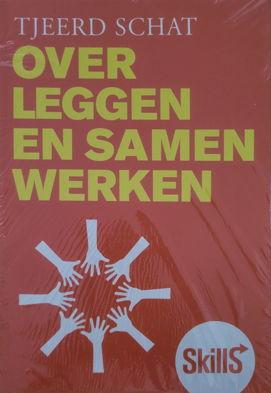 Tjeerd Schat - Skills - Overleggen en samenwerken, Ophalen of Verzenden, Nederlands, Tjeerd Schat