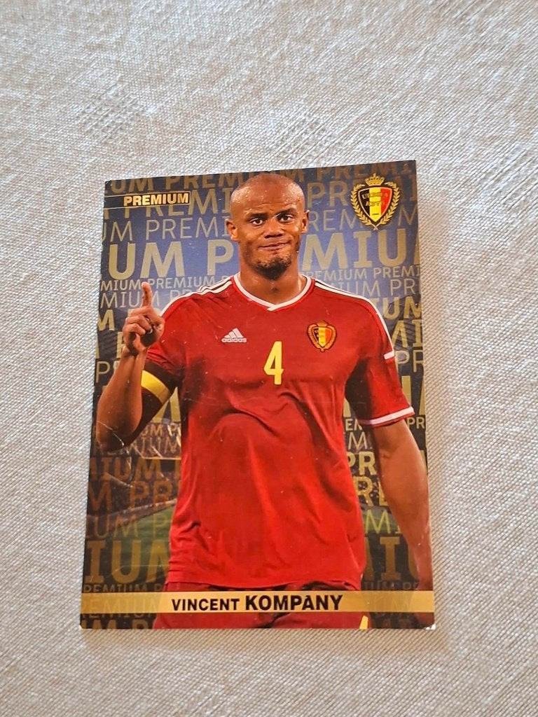 Panini / Voetbalkaart / Vincent Kompany / EK Frankrijk 2016, Verzamelen, Ophalen of Verzenden, Zo goed als nieuw, Spelerskaart