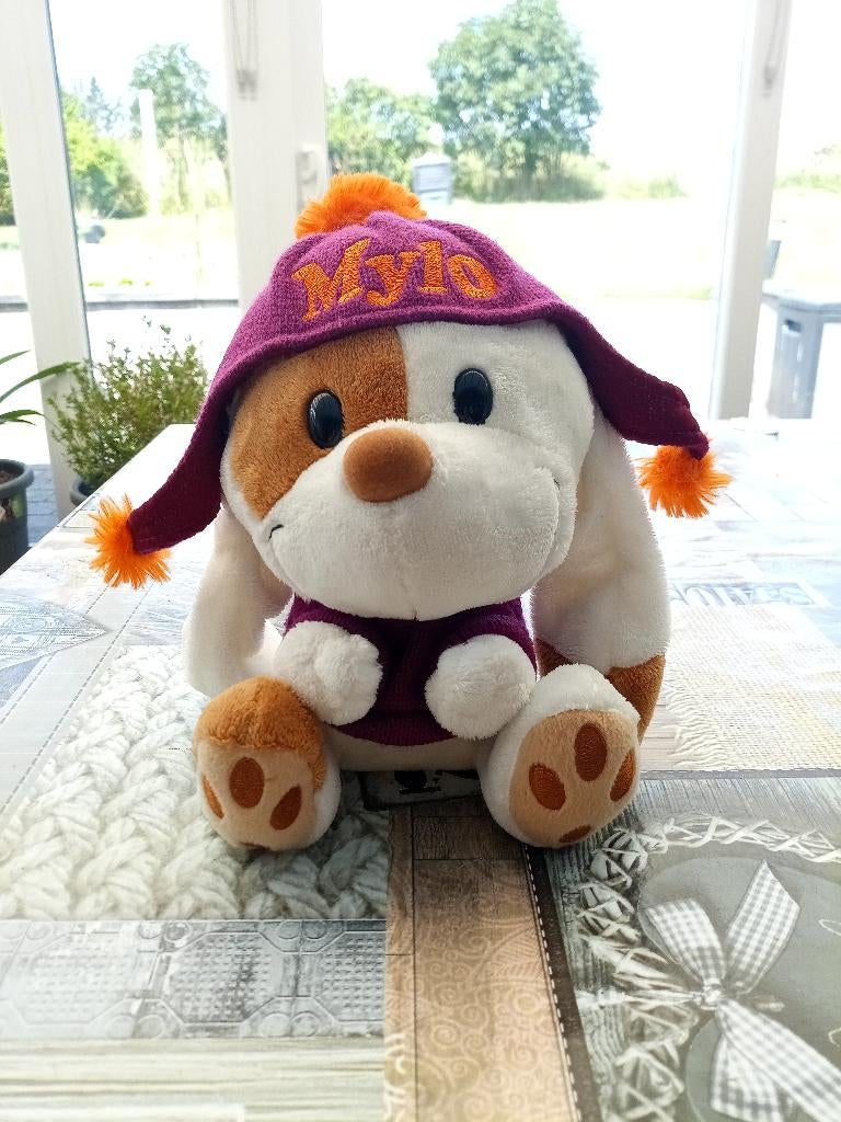 chien Mylo avec bonnet, Chien, Violet, Utilisé, Enlèvement