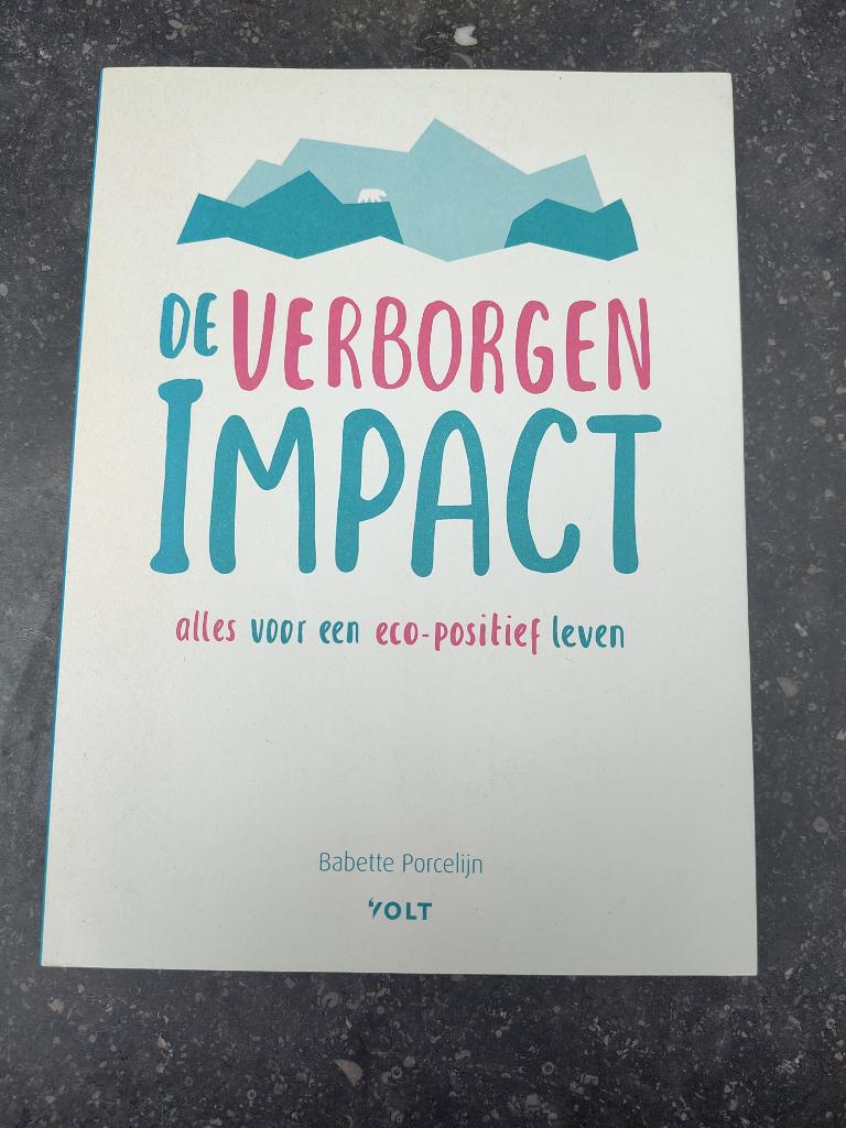 De verborgen impact, Livres, Conseil, Aide & Formation, Enlèvement ou Envoi, Comme neuf, Babette Porcelijn