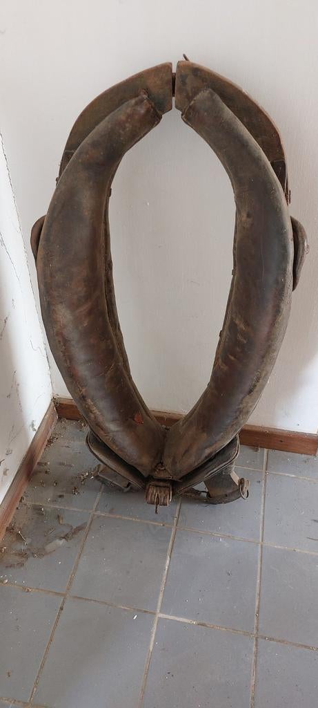 Collier cheval de trait, Enlèvement