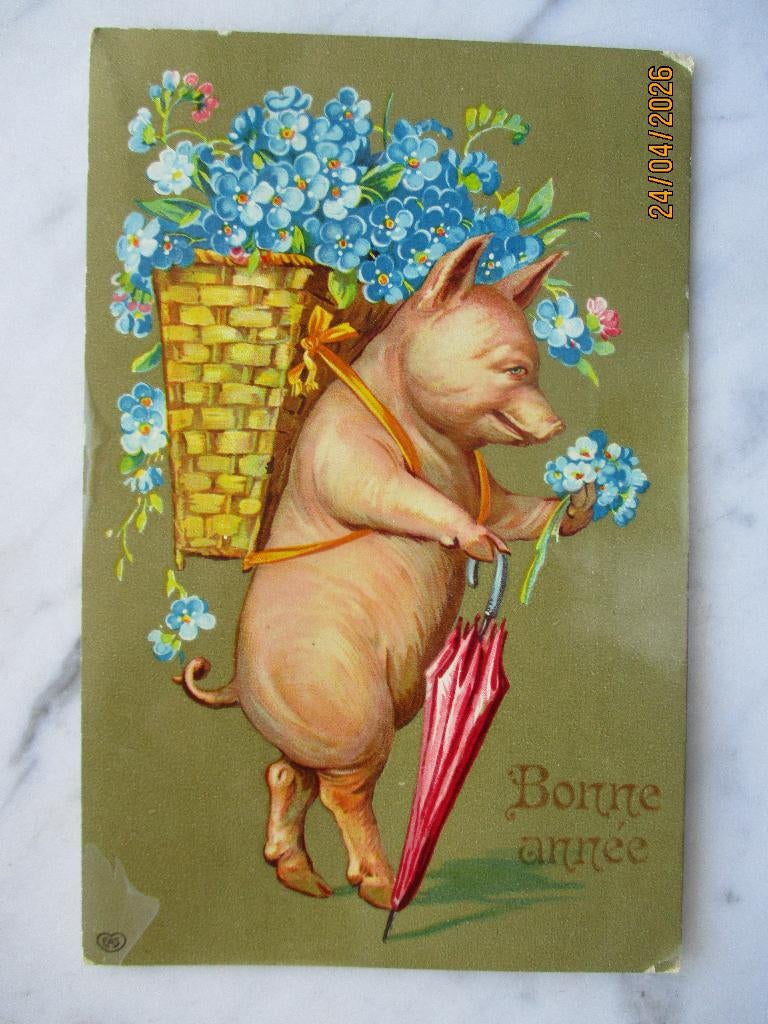 nieuwjaar varken paraplu korf met bloemen 1909, Verzamelen, Verzenden, Voor 1920, Gelopen, Feest(dag)