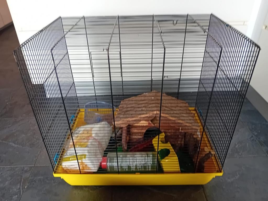 Kooi voor kleine knaagdieren, Dieren en Toebehoren, Ophalen, Kooi, Muis