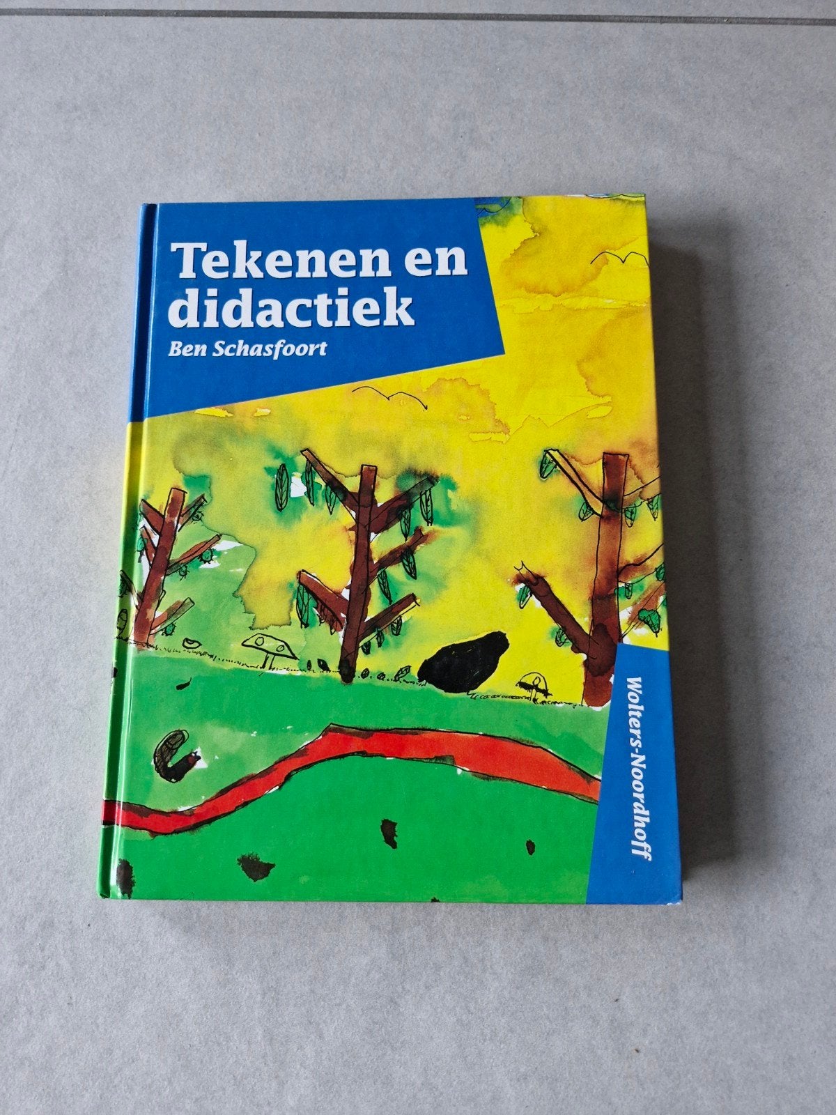 Tekenen en didactiek - Ben Schasfoort, Boeken, Ophalen of Verzenden, Gelezen, Ben Schasfoort
