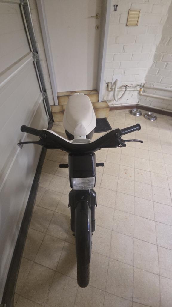 Classe Wallaroo A, Vélos & Vélomoteurs, Cyclomoteurs | Honda, Enlèvement