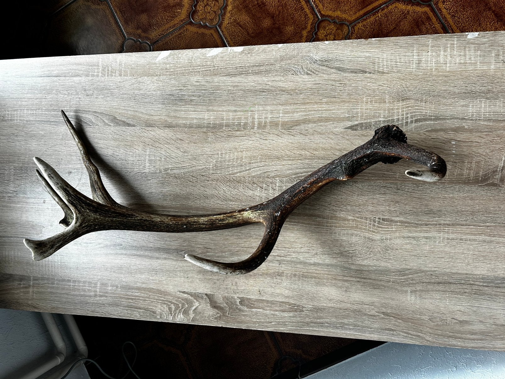 Groot hertengeweien stang Natuurlijke afwerphoorn 90cm/2,3kg, Antiek en Kunst, Ophalen