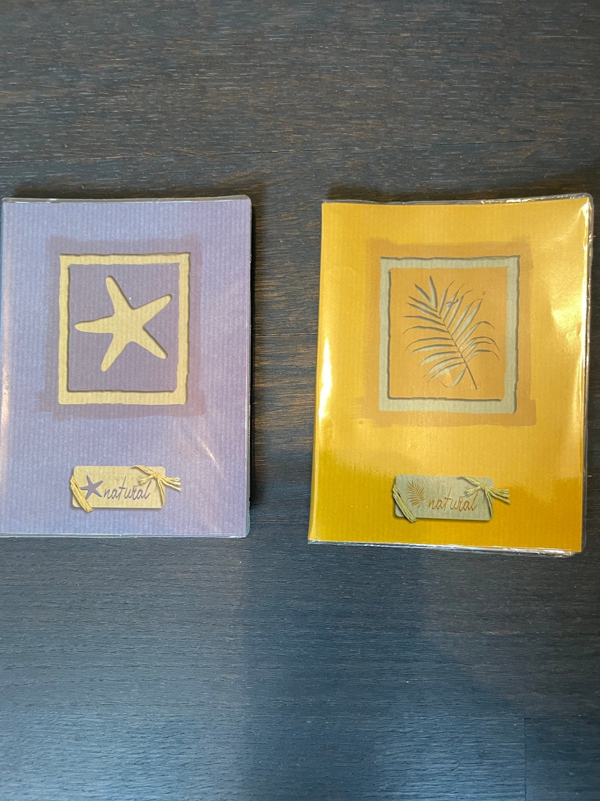 2 fotomapjes met hoezen, Enlèvement ou Envoi, Comme neuf