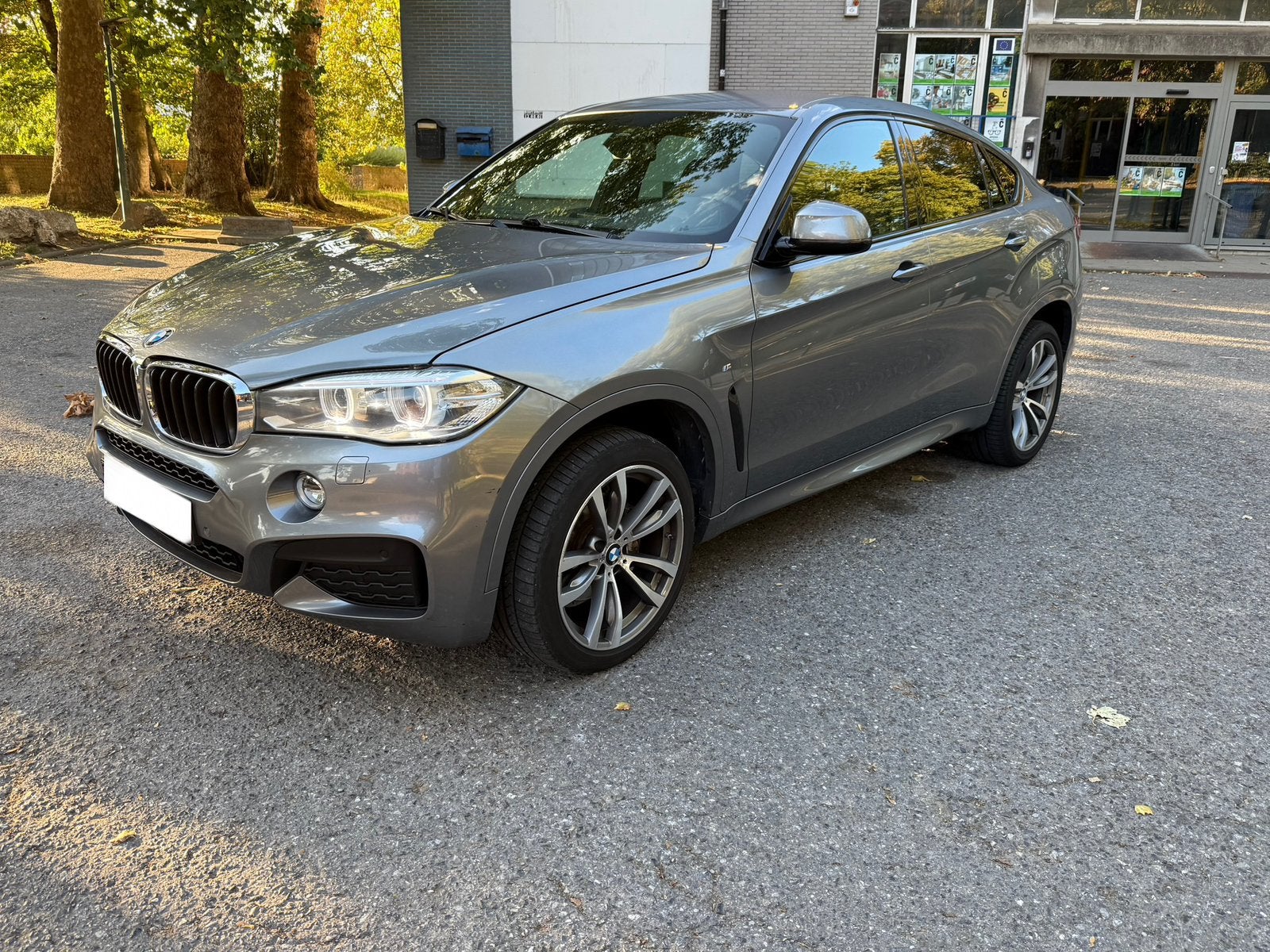 BMW X6 f16 3.0D 258ch Xdrive, Cuir, Argent ou Gris, Euro 6, Automatique