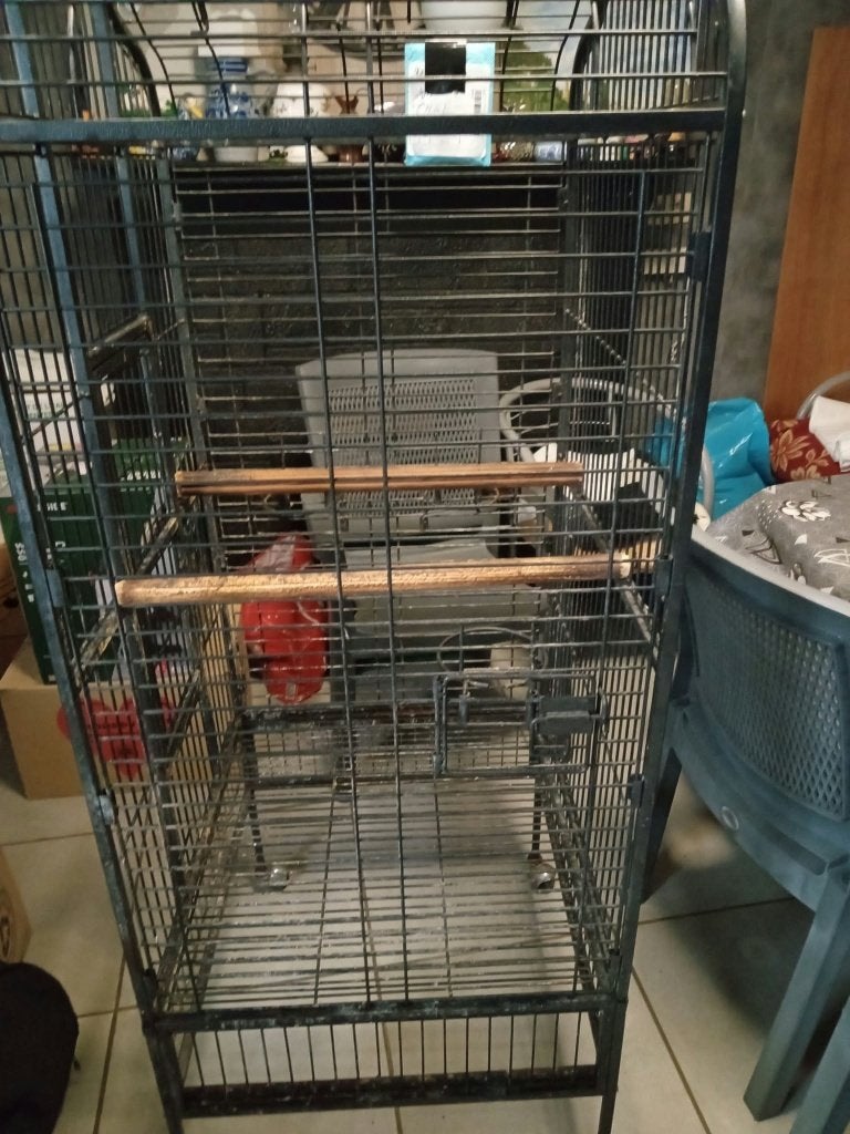 cage pour perroquet, Animaux & Accessoires, Enlèvement, Utilisé, Métal, Cage à oiseaux