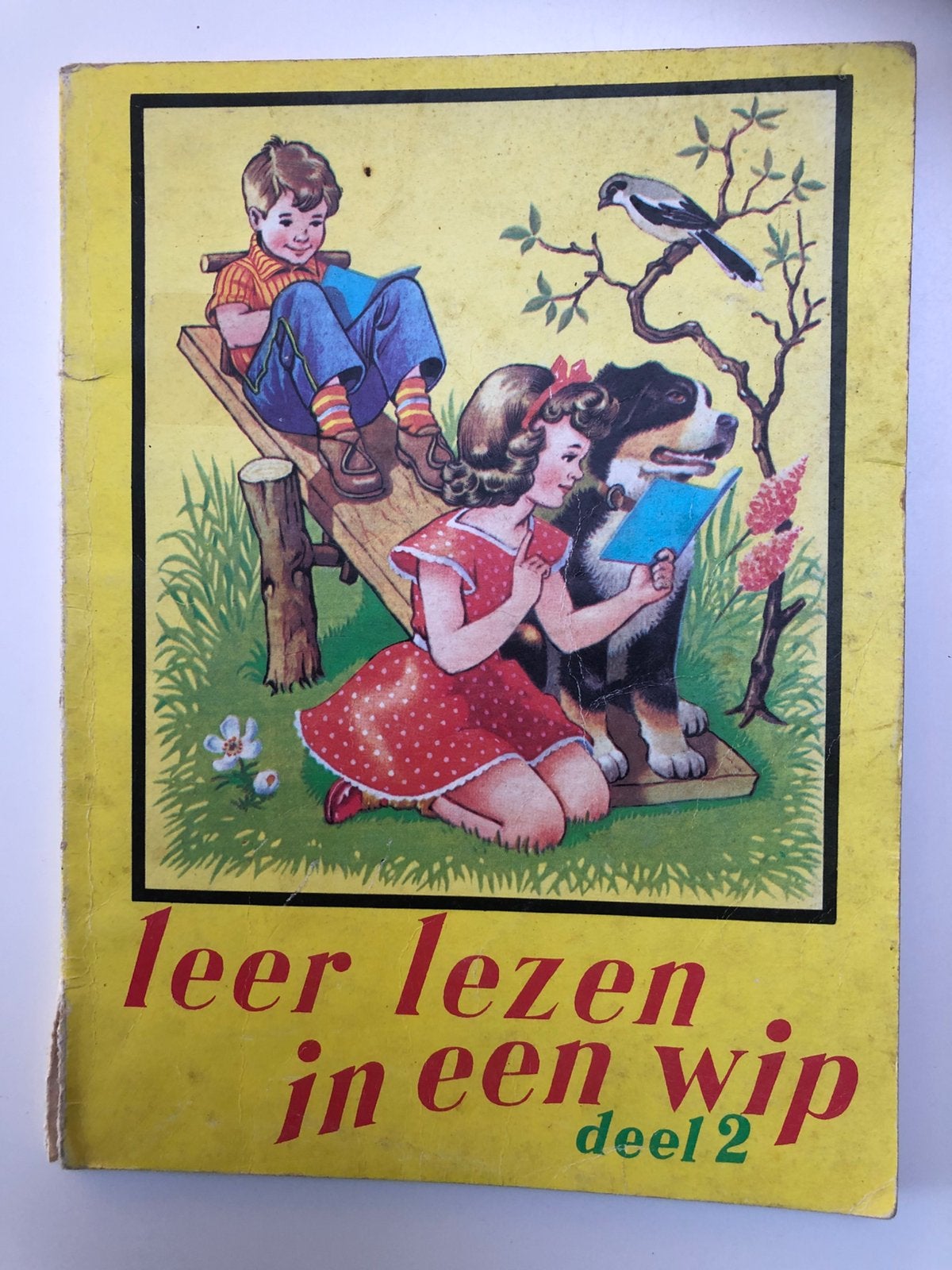 Leer lezen in een wip - Deel 2, Boeken, Ophalen, Gelezen, Fictie algemeen