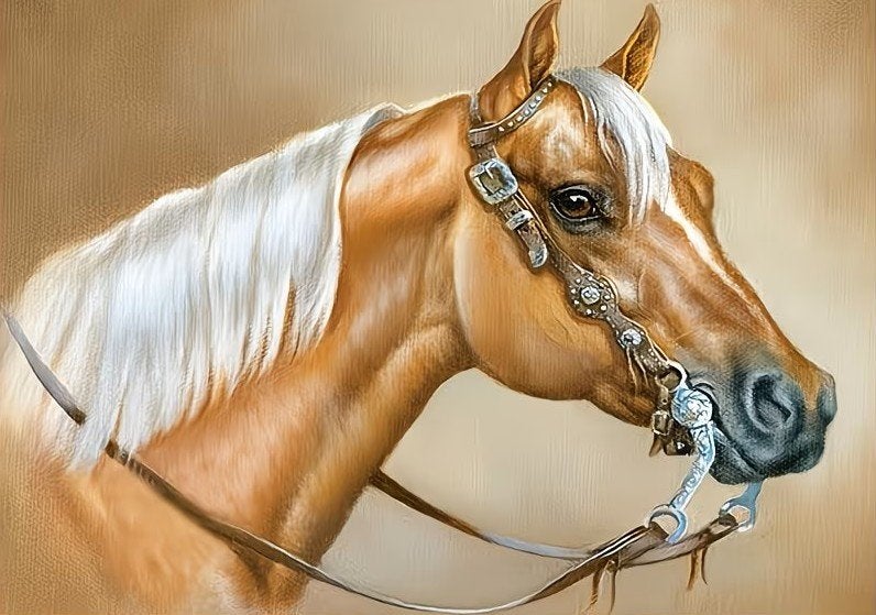 50x40cm Diamond Painting paard (rond) nr 101, Nieuw, Ophalen of Verzenden, Overige materialen, Overige merken