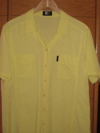 Blouse d'été jaune clair à col en V — taille B 44, Vêtements | Femmes, Blouses & Tuniques, Porté, Taille 42/44 (L), Jaune, Enlèvement ou Envoi