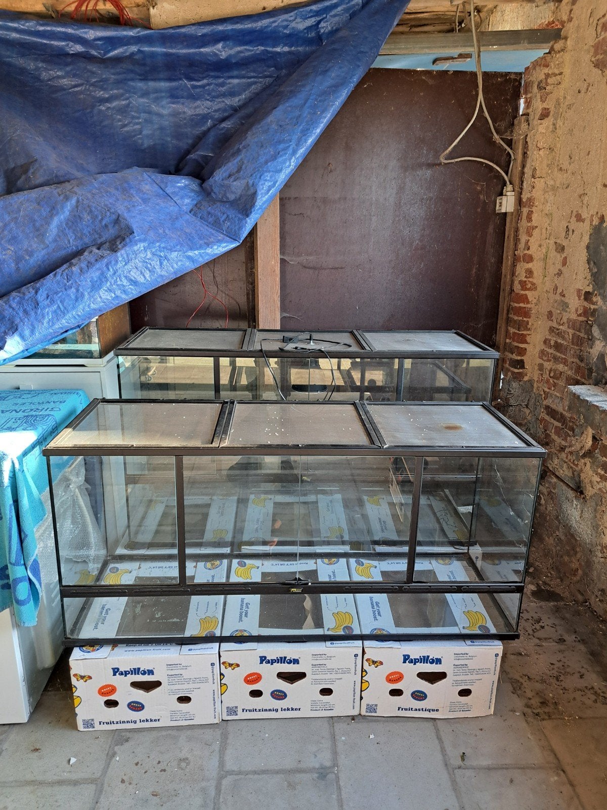 Terrarium Terratlantis 133x60x45, Animaux & Accessoires, Enlèvement, Comme neuf, Terrarium ou Paludarium