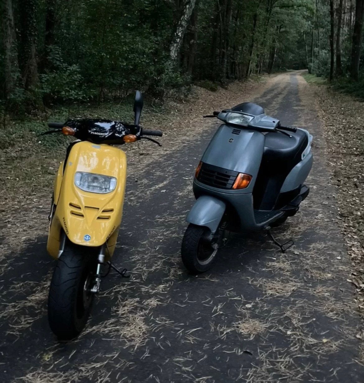 Piaggio typhoon (TPH) 125cc A1, Ophalen, Zo goed als nieuw, Elektrisch