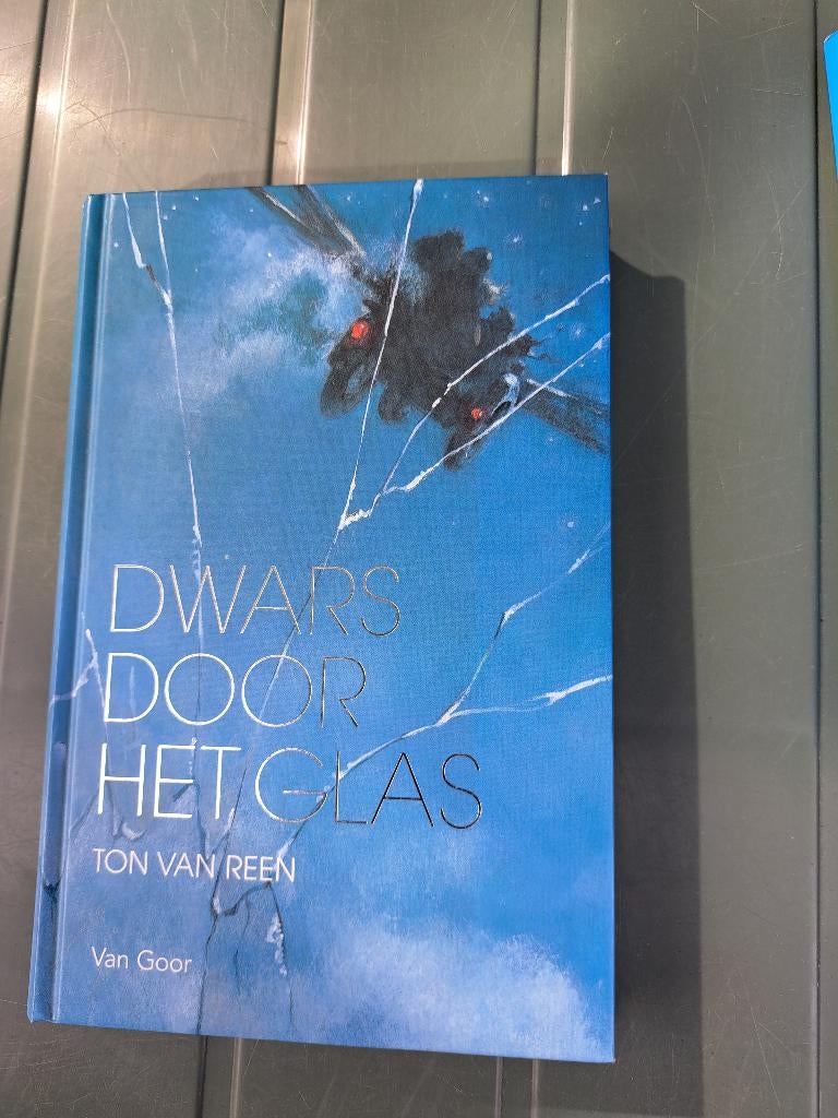 Jeugdboek Dwars door het glas Ton Van Reen, Ophalen of Verzenden