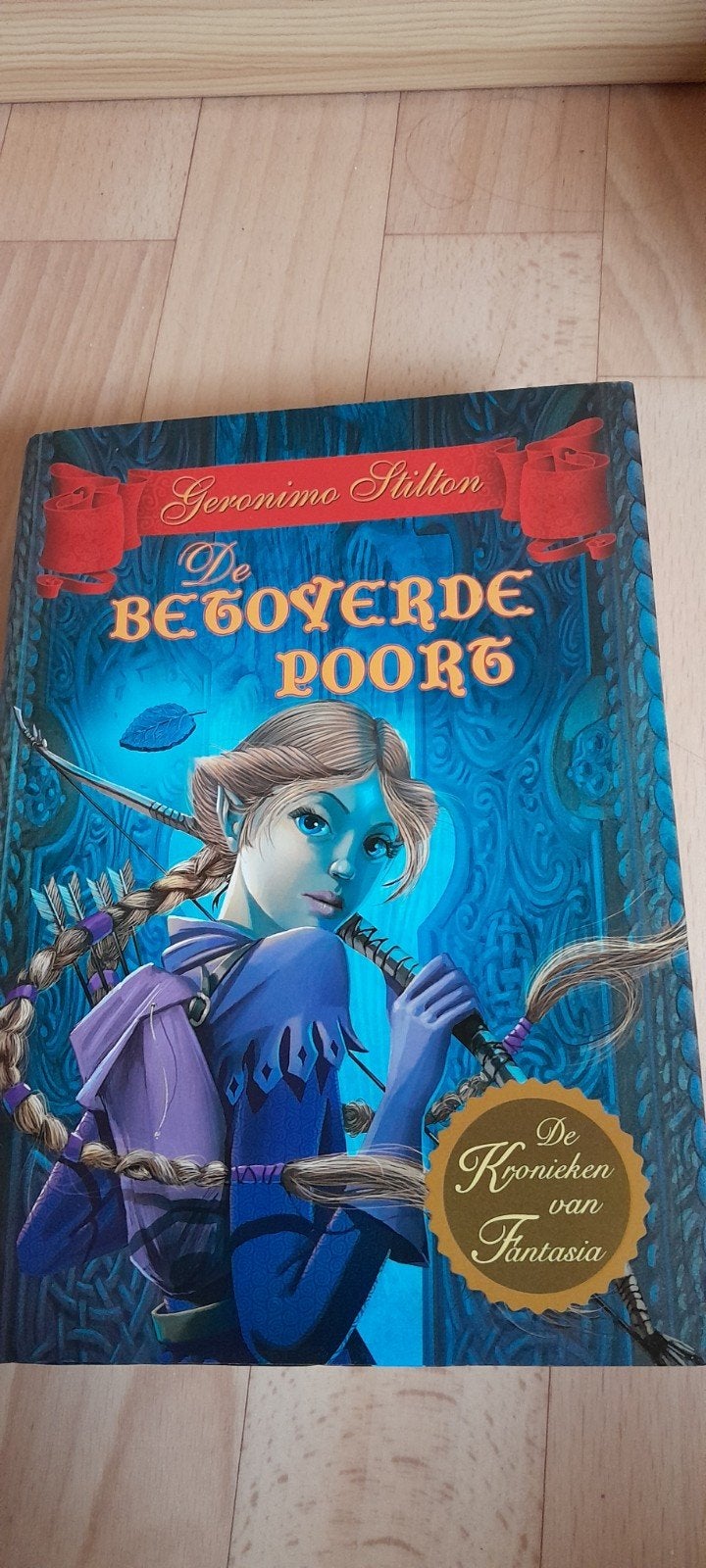 Geronimo Stilton - De Betoverde Poort, Enlèvement, Geronimo Stilton
